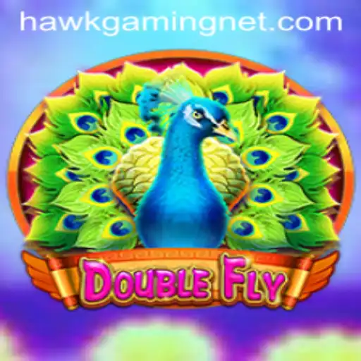 Experience the Thrilling World of DoubleFly by HawkGaming